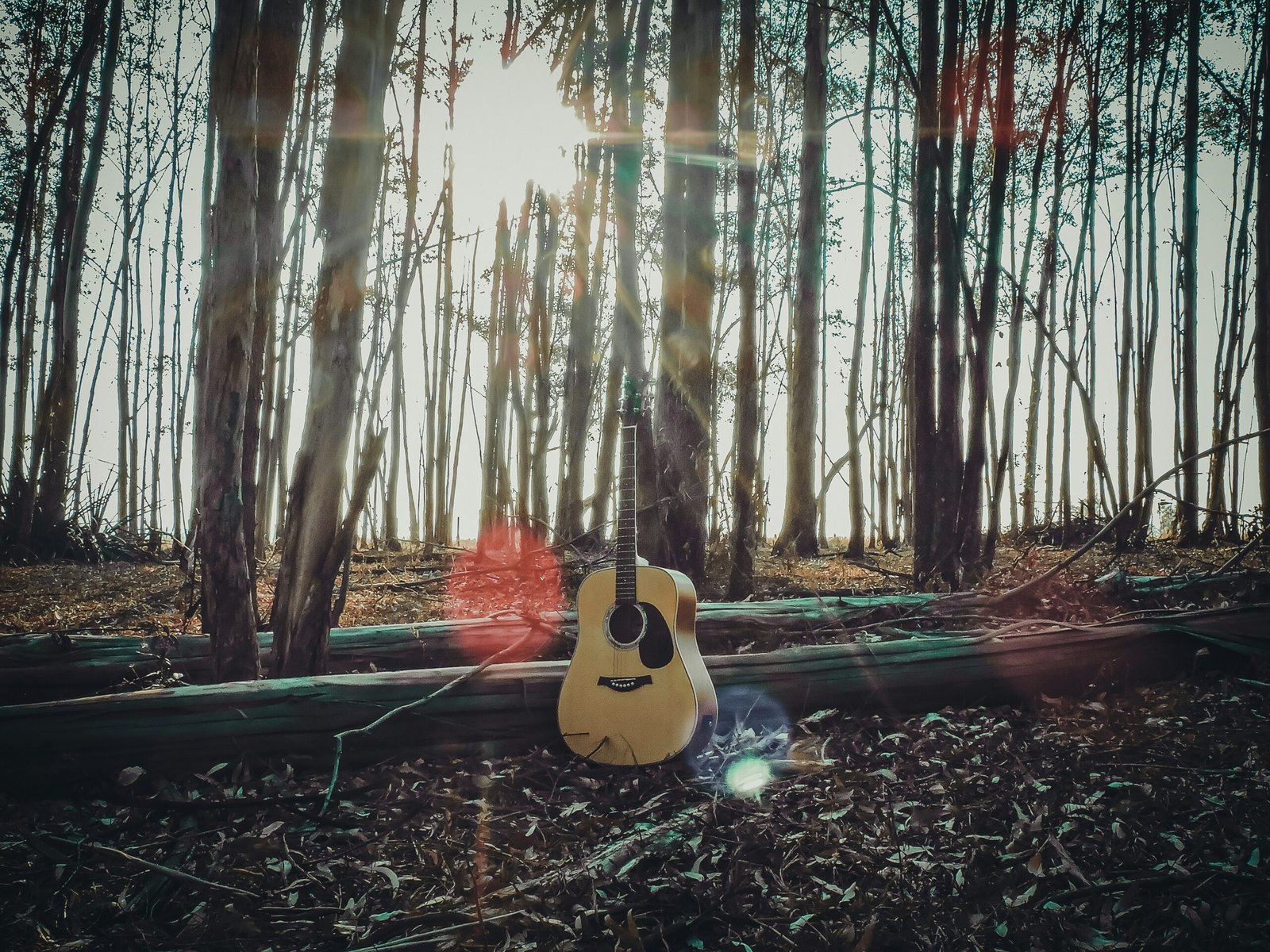 daniel lima 2oowciyke9q unsplash