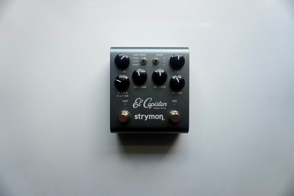 Strymon El Capistan dTape Echo Pedal V2 dsc00733